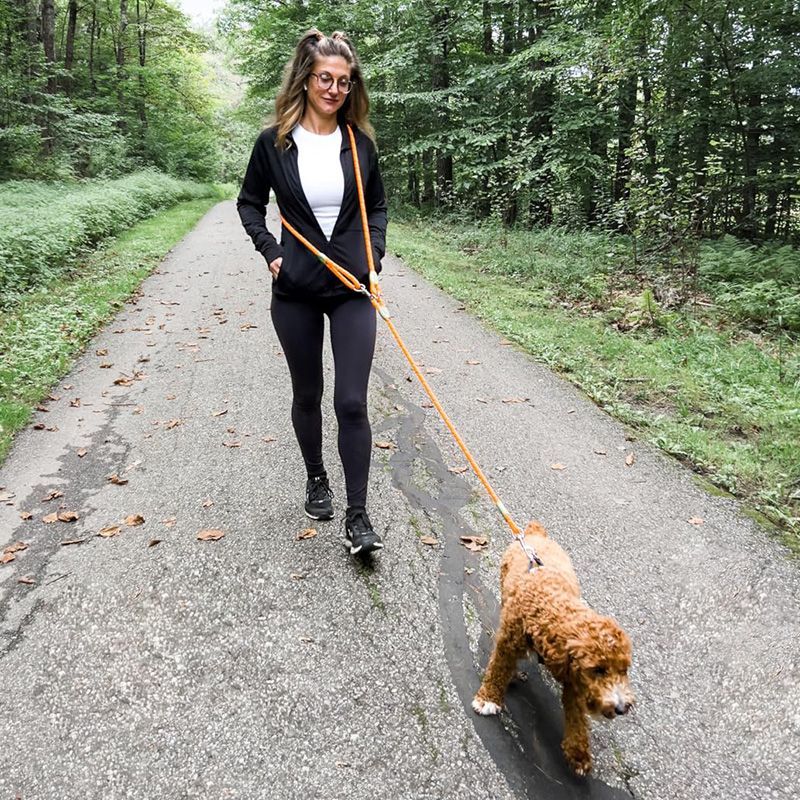 Reflective Hands-Free Dog Leas - Running Gear Organizer review and price
